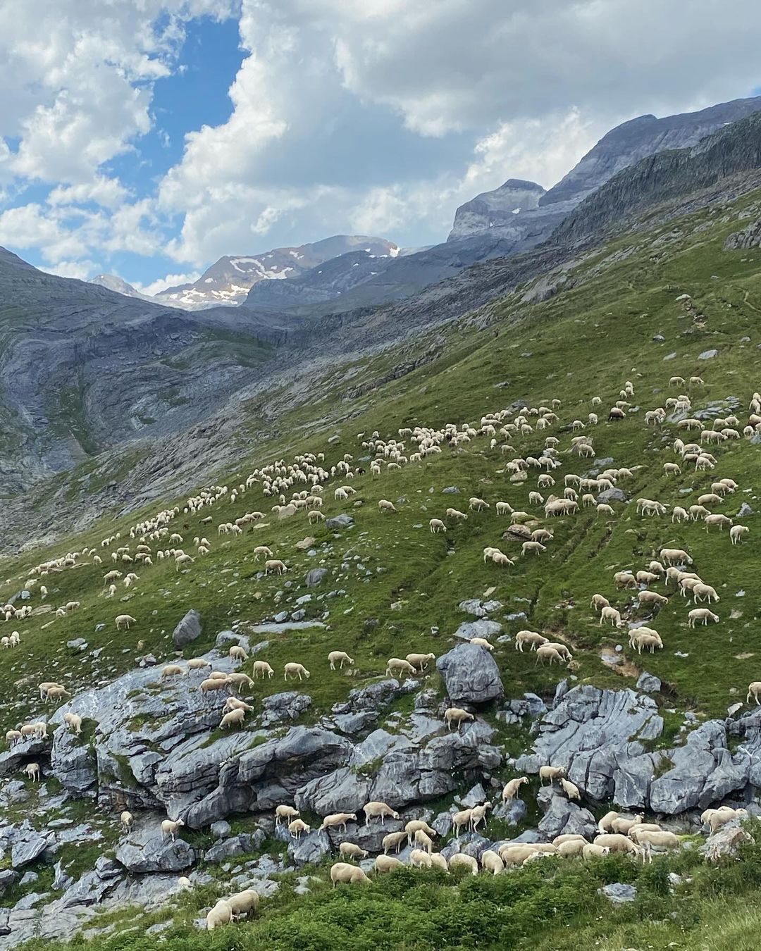 Millaris. Lado Sur Ordesa Monte Perdido